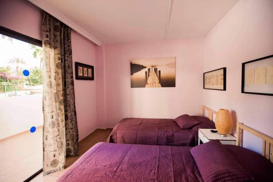 Apartment Avenida Puig Арона Экстерьер фото